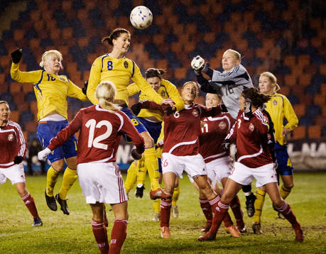 Lotta Schelin, Sverige