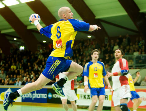 Johan Petersson, Sverige