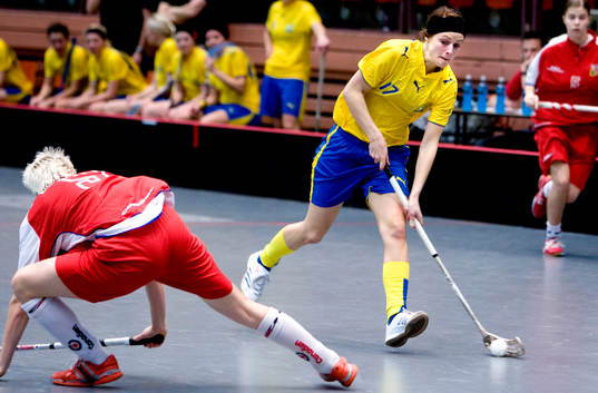 Anna Jakobsson, Sverige