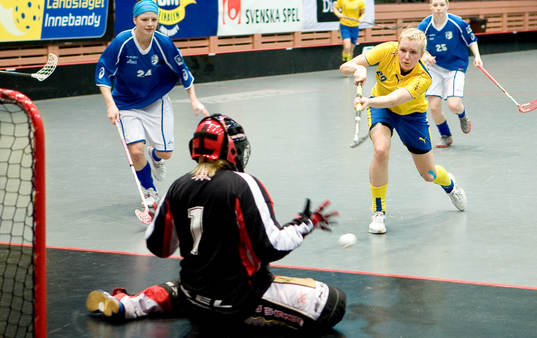 Amanda Wendelstig, Sverige