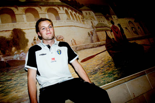 Sebastian Larsson, Sverige