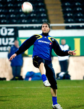 Johan Elmander, Sverige