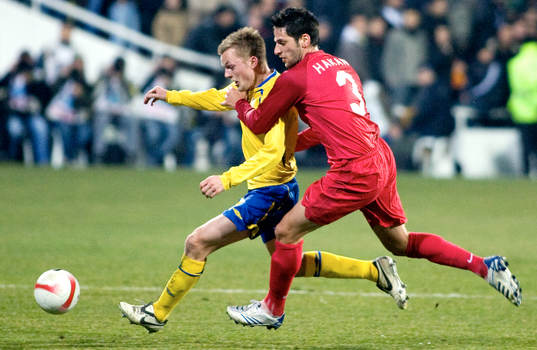 Sebastian Larsson, Sverige