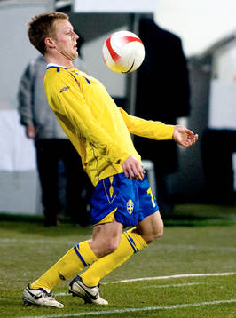 Sebastian Larsson, Sverige