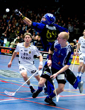 Magnus Svensson, Warberg, Pekka Nieminen, målvakt, AIK