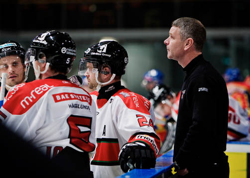 Harald Lückner, tränare, Modo