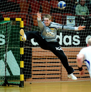 Andreas Palicka, RIK
