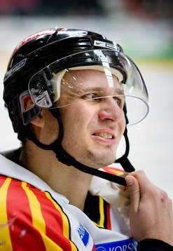 Pavel Brendl, Brynäs
