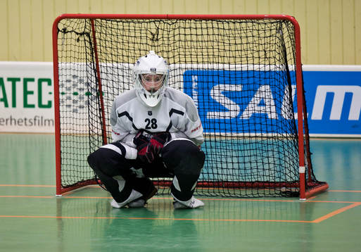 Henrik Qvist, målvakt, Linköping