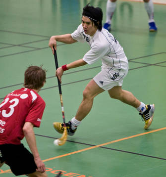Duong Ha, Linköping