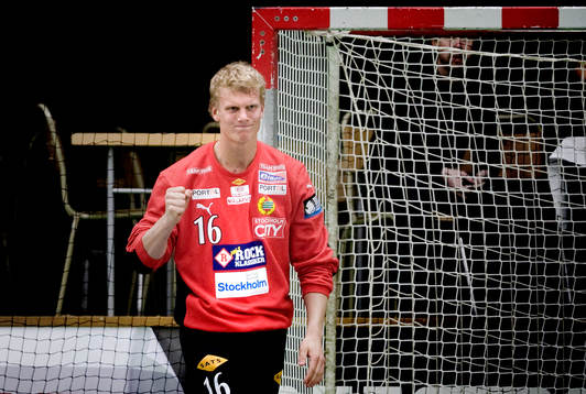 Robin Hallberg, Målvakt Hammarby i målet