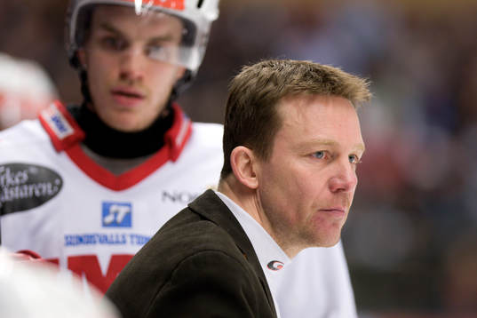 Charles Berglund, Tränare Timrå