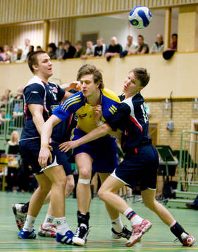 Niclas Barud, Sverige