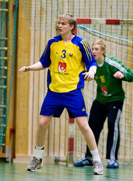 Joakim Bååk, Sverige