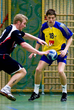 Niclas Ekberg, Sverige