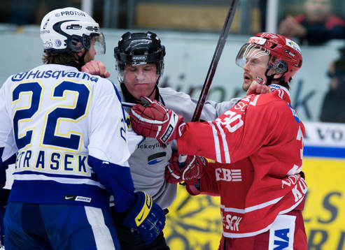 David Petrasek, HV71 och Petri Kokko, Timrå