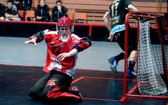Joakim Ågren, målvakt, Pixbo