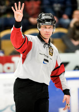 Ulf Rönnmark, domare