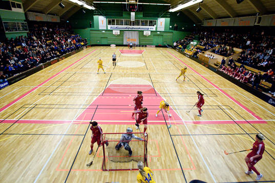 Innebandy, SM, Distriktslag, Dam, Junior, 17, Final,