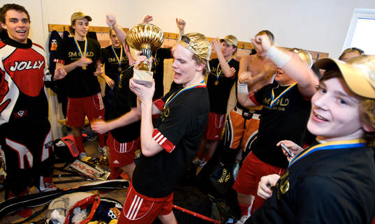 Innebandy, SM, Distriktslag, Herr, Junior, 17, Final,