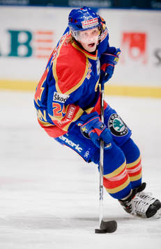 Niklas Andersson, Djurgården