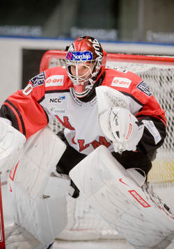 Henrik Karlsson, Målvakt Malmö