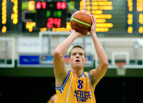 Jonas Jerebko, Sverige