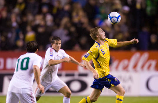 Sebastian Larsson, Sverige