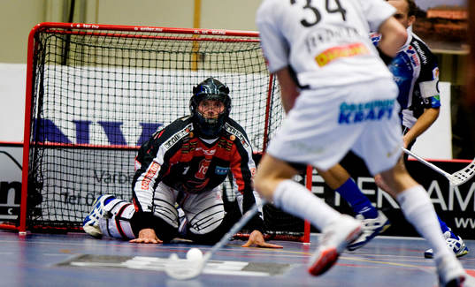 Peter Sjögren, målvakt, Warberg