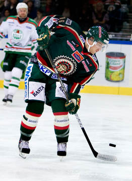 Bläddra bland fler bilder av Ishockey, elitserien, Frölunda - Rögle