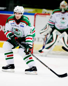 Peter Högardh, Rögle