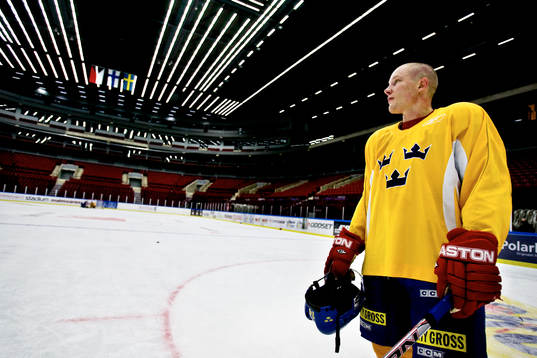 Mika Hannula, Sverige