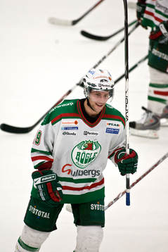 Chris Abbott, Rögle matchens lirare
