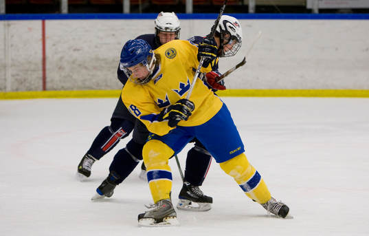 Filip Gunnarsson, Sverige