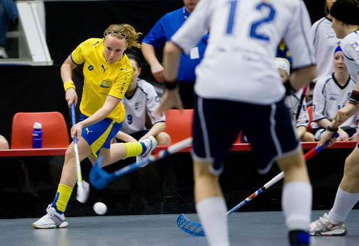 Sanna Scheer, Sverige går på skott