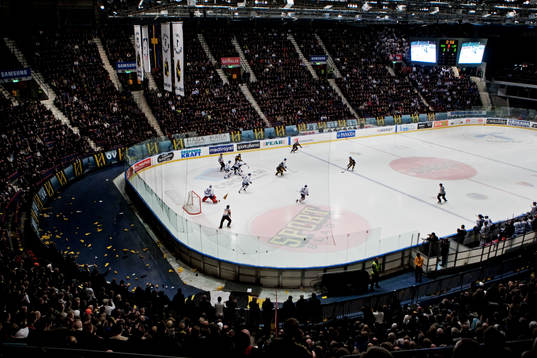 Hovet, interiör