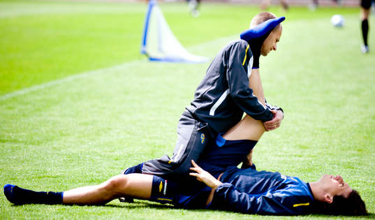 Zlatan Ibrahimovic, stretchar