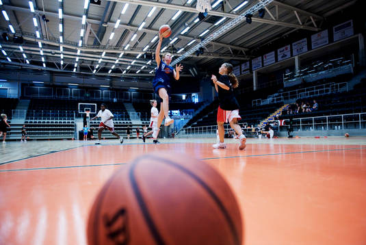Basket