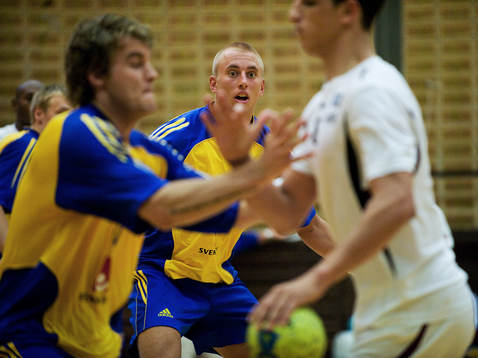 Anton Månsson, Sverige