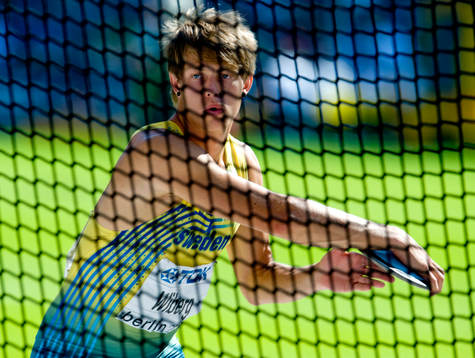 Nicklas Wiberg, Sverige