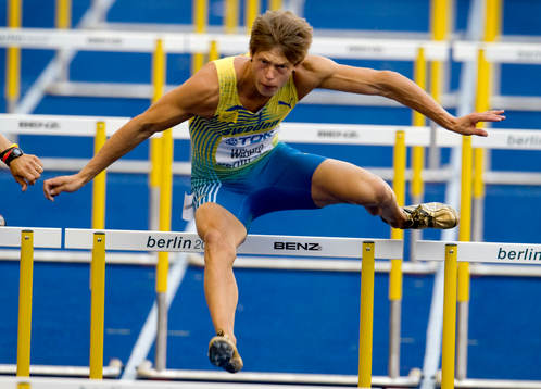 Nicklas Wiberg, Sverige