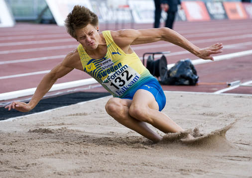 Nicklas Wiberg, Sverige