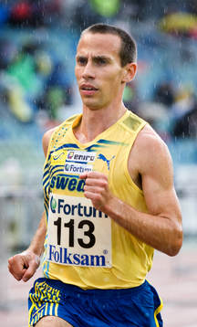Johan Wallerstein, Sverige