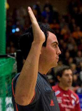 Domare Mattias Wetterwik