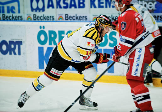 Stephen Dixon, Brynäs, jubel