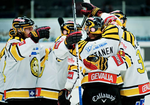 Brynäs jubel