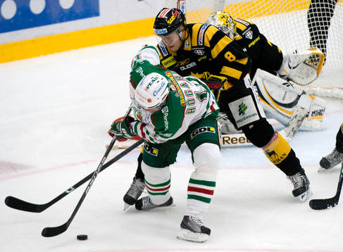 Peter Högardh, Rögle och Niklas Strandberg, Skellefteå