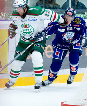 Peter Högardh, Rögle och Erik Andersson, Linköping