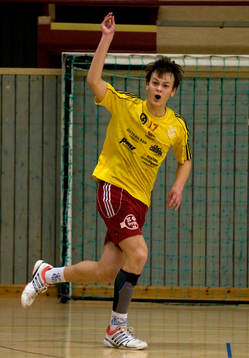 Joel Stolt