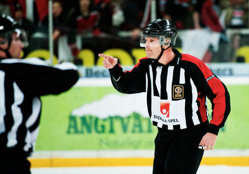 Ulf Rönnmark, domare